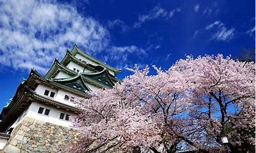 日本著名旅游景点介绍_日本著名的旅游景点