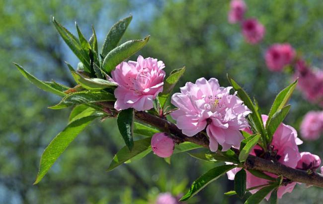 万芳亭公园_万芳亭公园在哪里