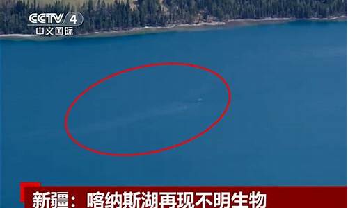 喀纳斯湖水怪的真相_喀纳斯湖水怪捕获现场