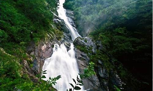 临安天目山旅游攻略_临安天目山景区旅游攻略