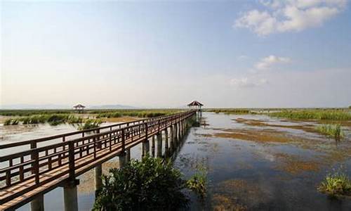 崇明一日游怎么玩一日游_崇明一日游怎么玩一日游最好