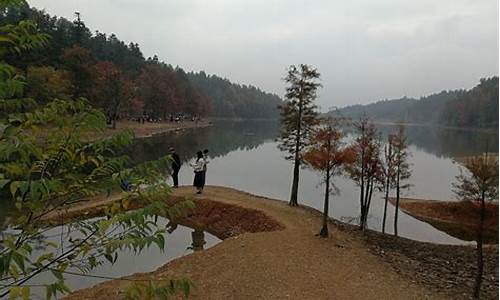 浙江长乐林场_长乐林场