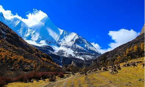 稻城亚丁自由行旅游攻略_稻城亚丁旅游攻略自驾