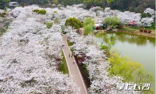 长沙玉湖公园在哪里?坐几号地铁可以到_长沙玉湖公园在哪里