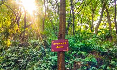 沙湾稳食行滴水岩森林公园