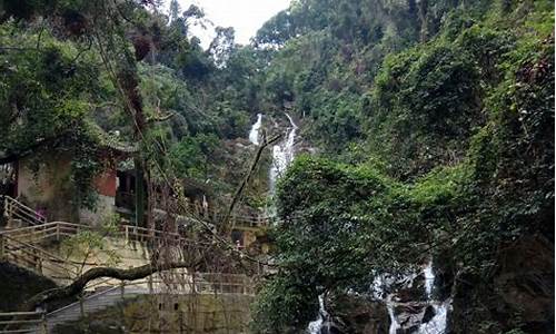 鼎湖山旅游攻略一日游最佳路线_鼎湖山旅游攻略一日游最佳路线图