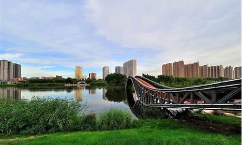 太原汾河公园海鸥_太原汾河公园海鸥在哪