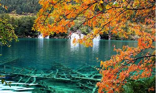 九寨沟景区旅游攻略_九寨沟景区旅游攻略详细介绍