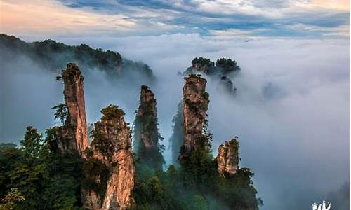 张家界热门景点排行榜前十名_张家界热门景点排行榜前十名图片